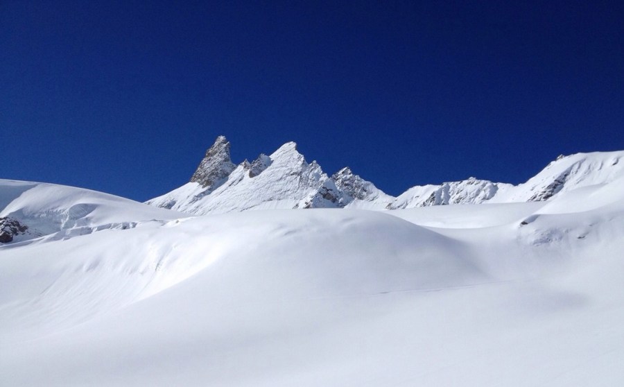 4 vallees, acances, accommodation, activités, alpage, alpes, alpin, alpinisme, appartement, Arolla, chalet, chaletforclaz.ch, combat de reines, Dent blanche, dentblanche, evolene, ferienhaus, ferienwohnung, ferpecle, freeride, glacier, hebergement, helicoptere, Herens, hotel, La Forclaz, la sage, laforclaz, lasage, les hauderes, les rocs, location, location à l'année, location à la semaine, logement, manifestations, mayen, montagne, nature, parapente, paysage, photos, promenade, randonnées, randonnee, refuge, ski, Suisse, tourisme, vacances, vache, Valais, villa, villaz, vtt, www.chaletforclaz.ch